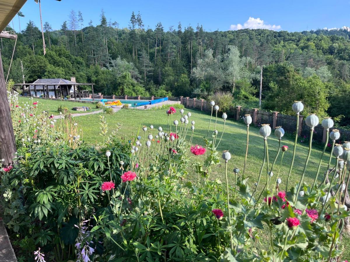 Agriturismo The Hidden Paradise Tryavna Dış mekan fotoğraf