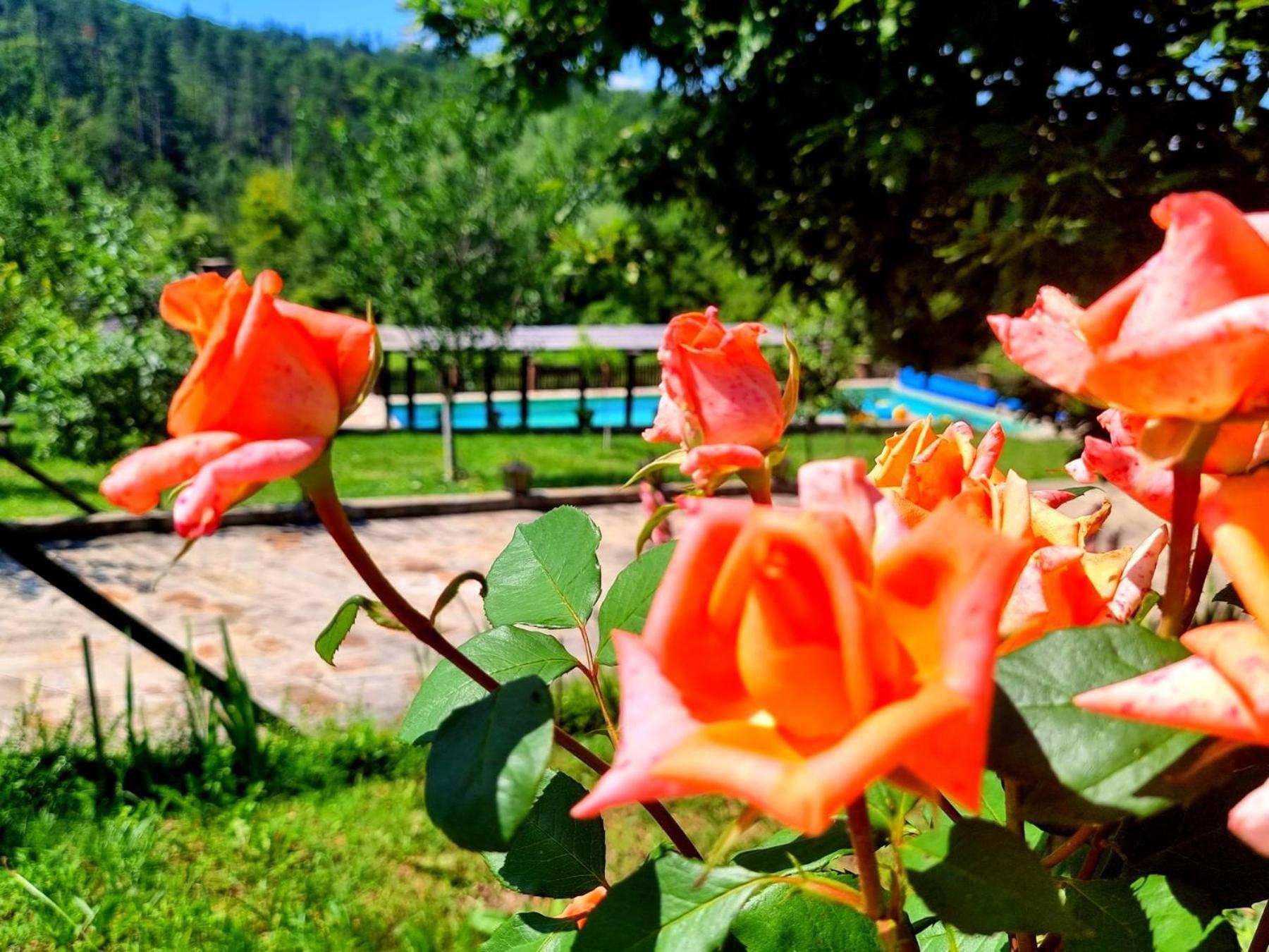 Agriturismo The Hidden Paradise Tryavna Dış mekan fotoğraf