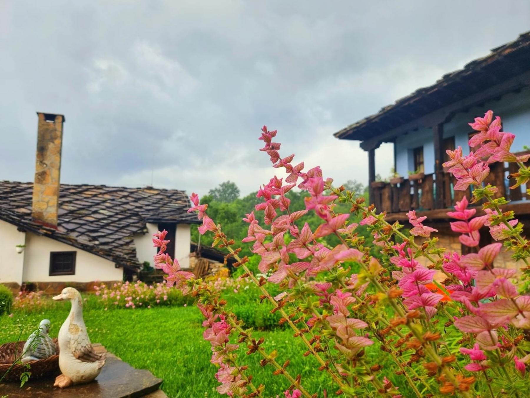 Agriturismo The Hidden Paradise Tryavna Dış mekan fotoğraf