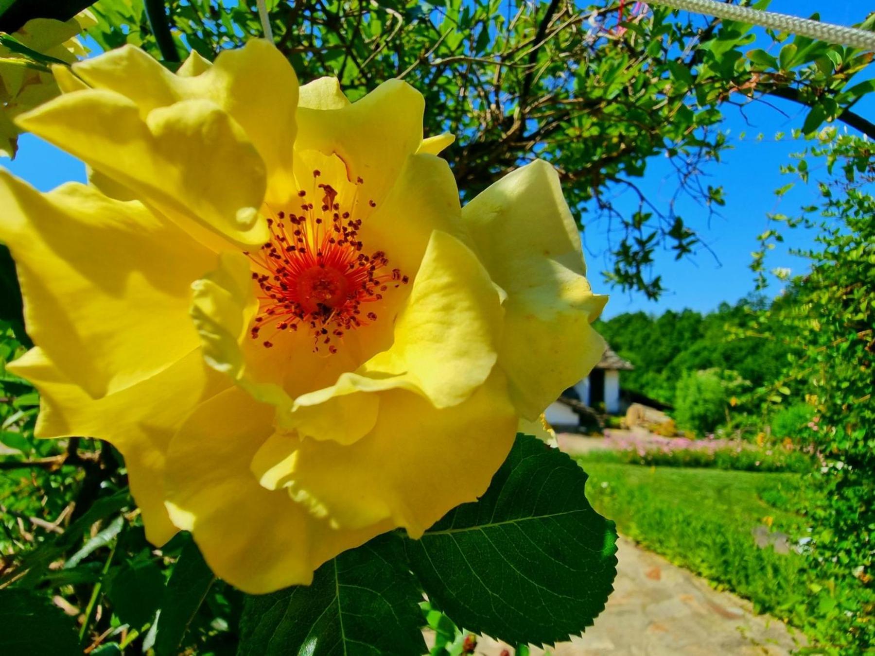 Agriturismo The Hidden Paradise Tryavna Dış mekan fotoğraf