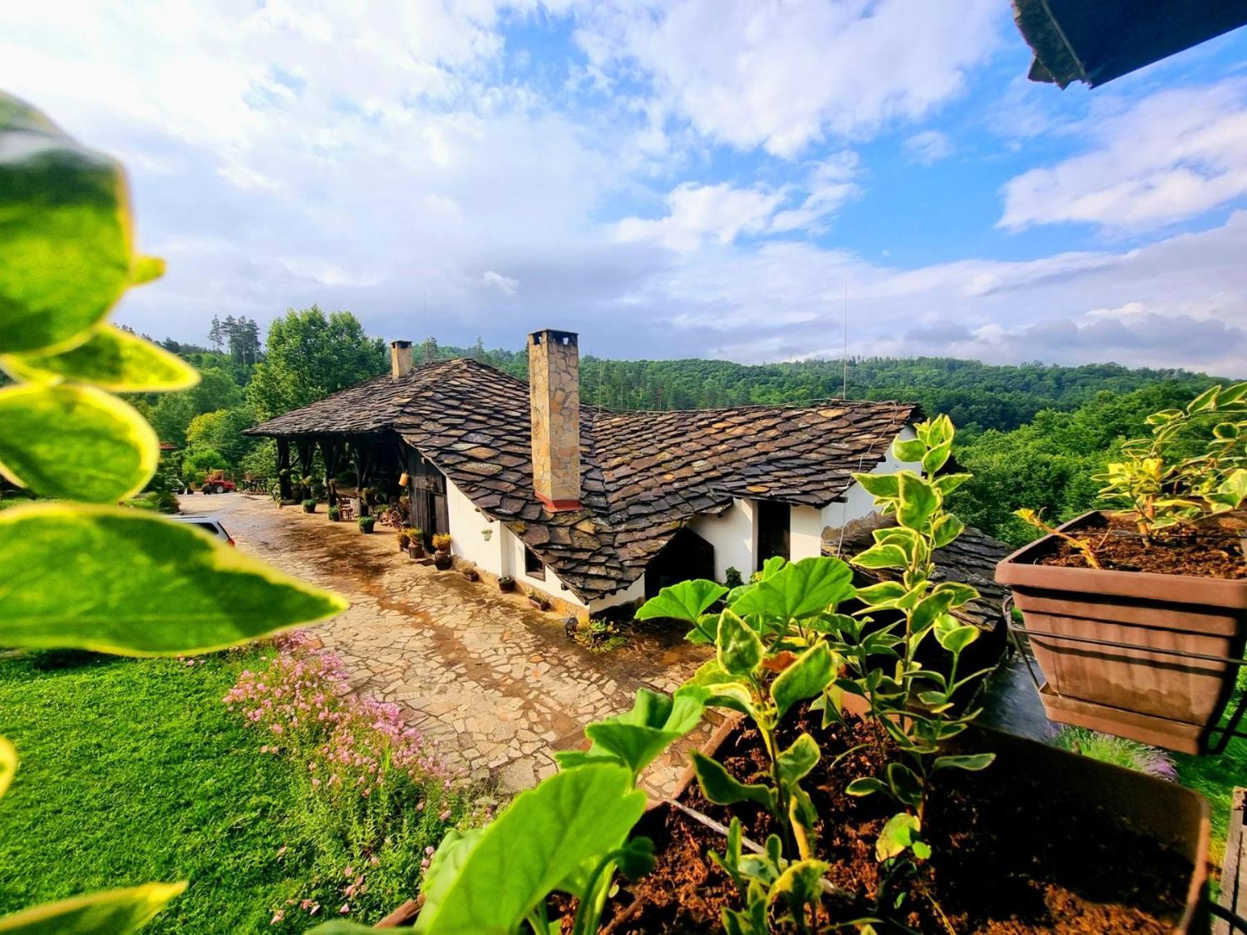 Agriturismo The Hidden Paradise Tryavna Dış mekan fotoğraf