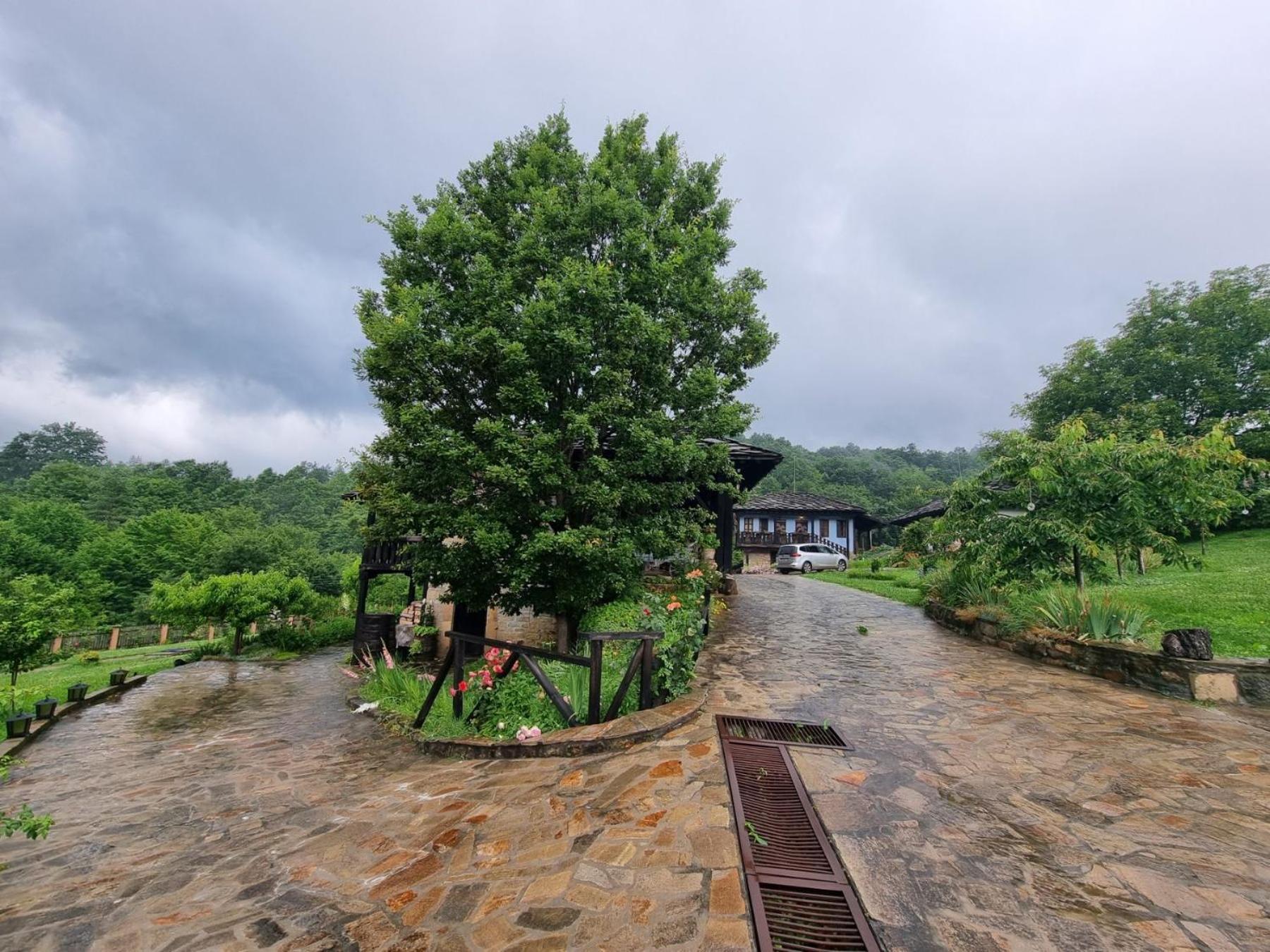 Agriturismo The Hidden Paradise Tryavna Dış mekan fotoğraf