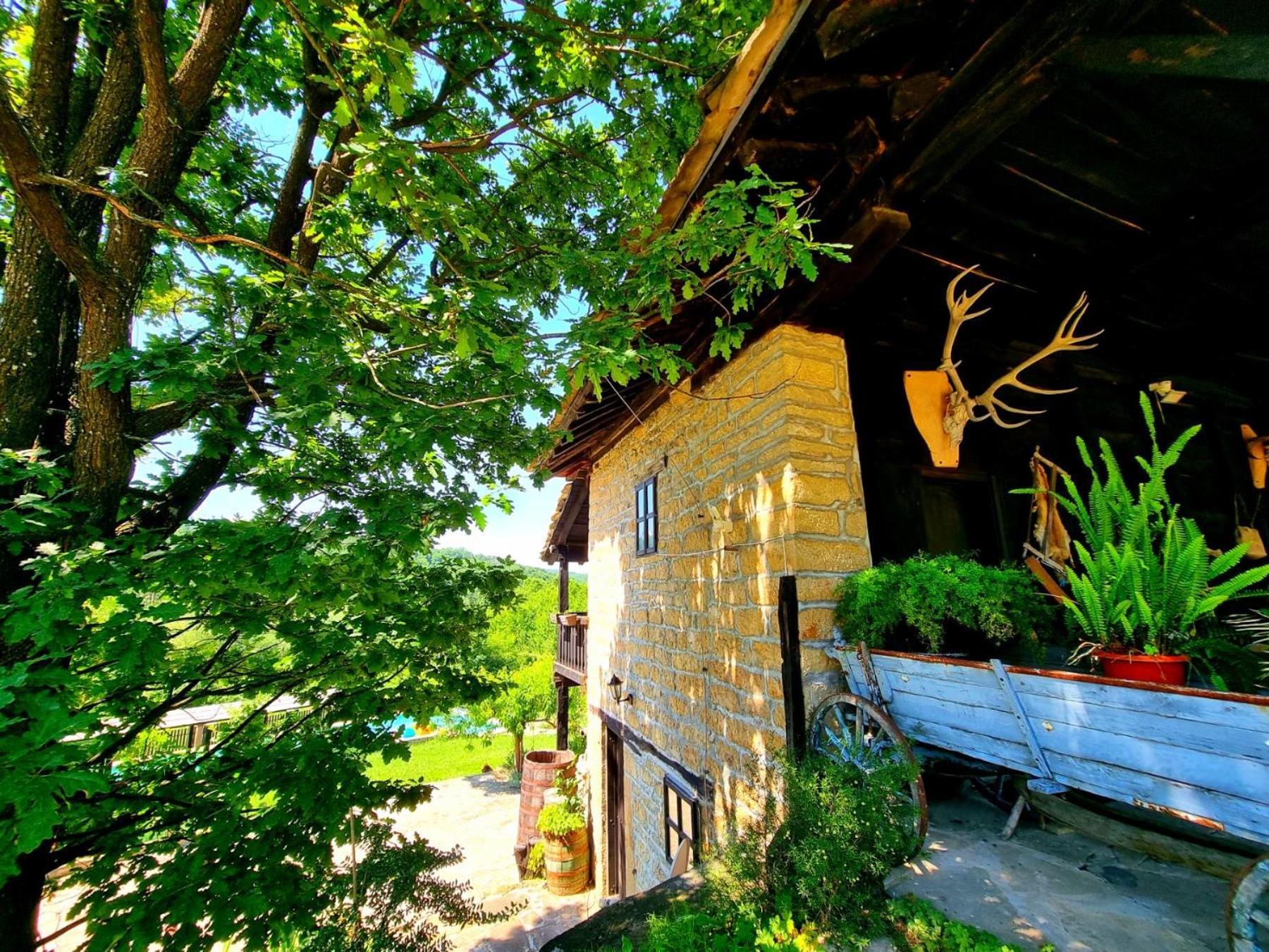 Agriturismo The Hidden Paradise Tryavna Dış mekan fotoğraf