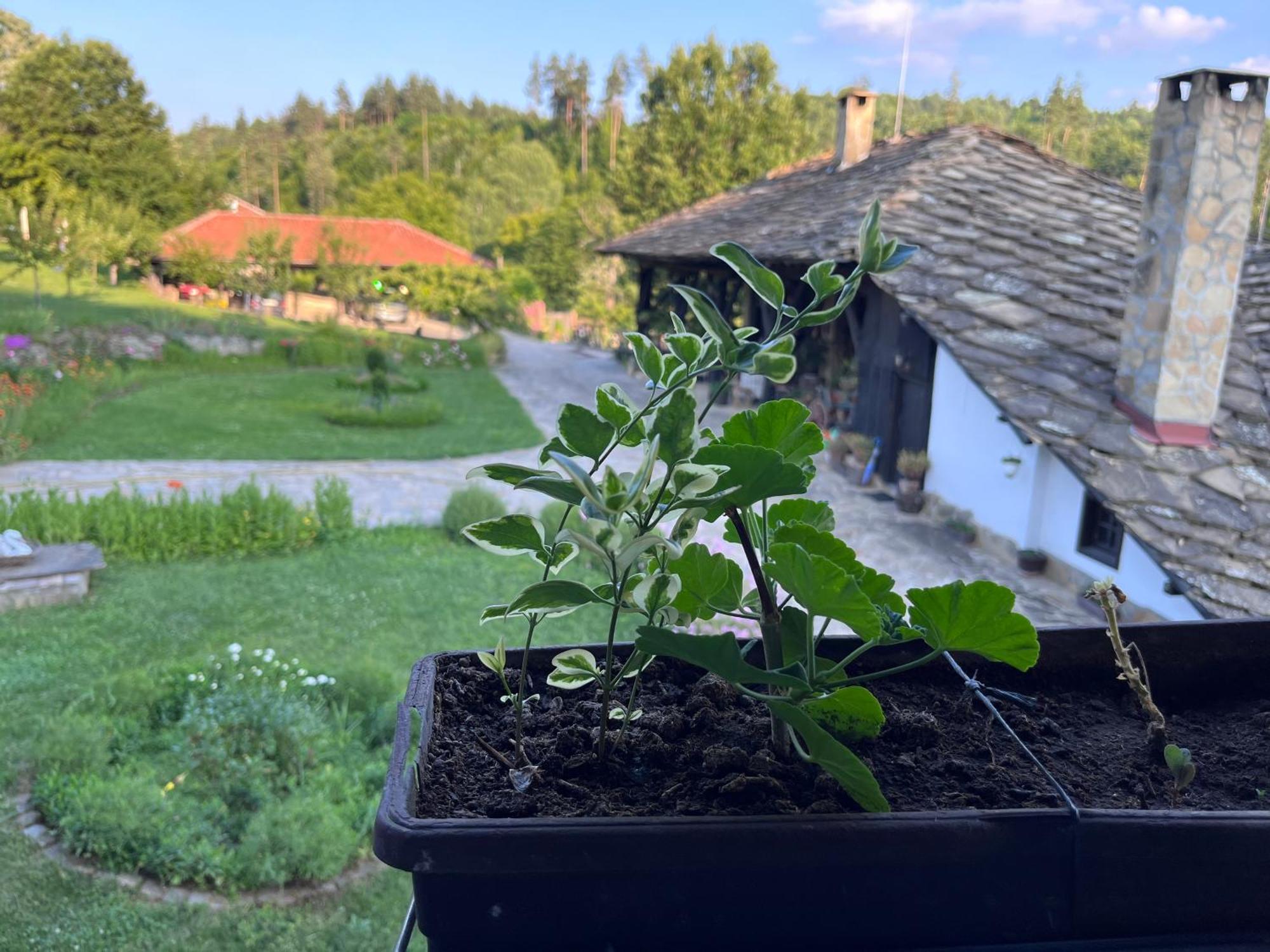 Agriturismo Hidden Paradise Villa Tryavna Dış mekan fotoğraf